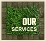 Our Services