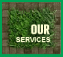 Our Services